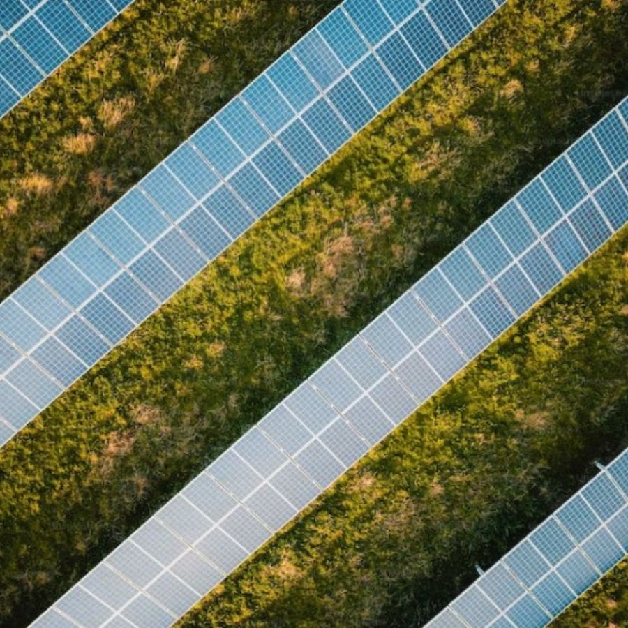 rows of solar panels on a farm